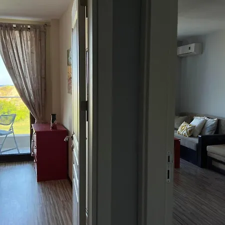 Stamopolulux директен изглед към морето * 프리모르스코